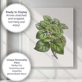 Green Speckled Foliage Plant Botanical Garden Illustration Canvas Wall Art Print Decor Picture Ready to Hang