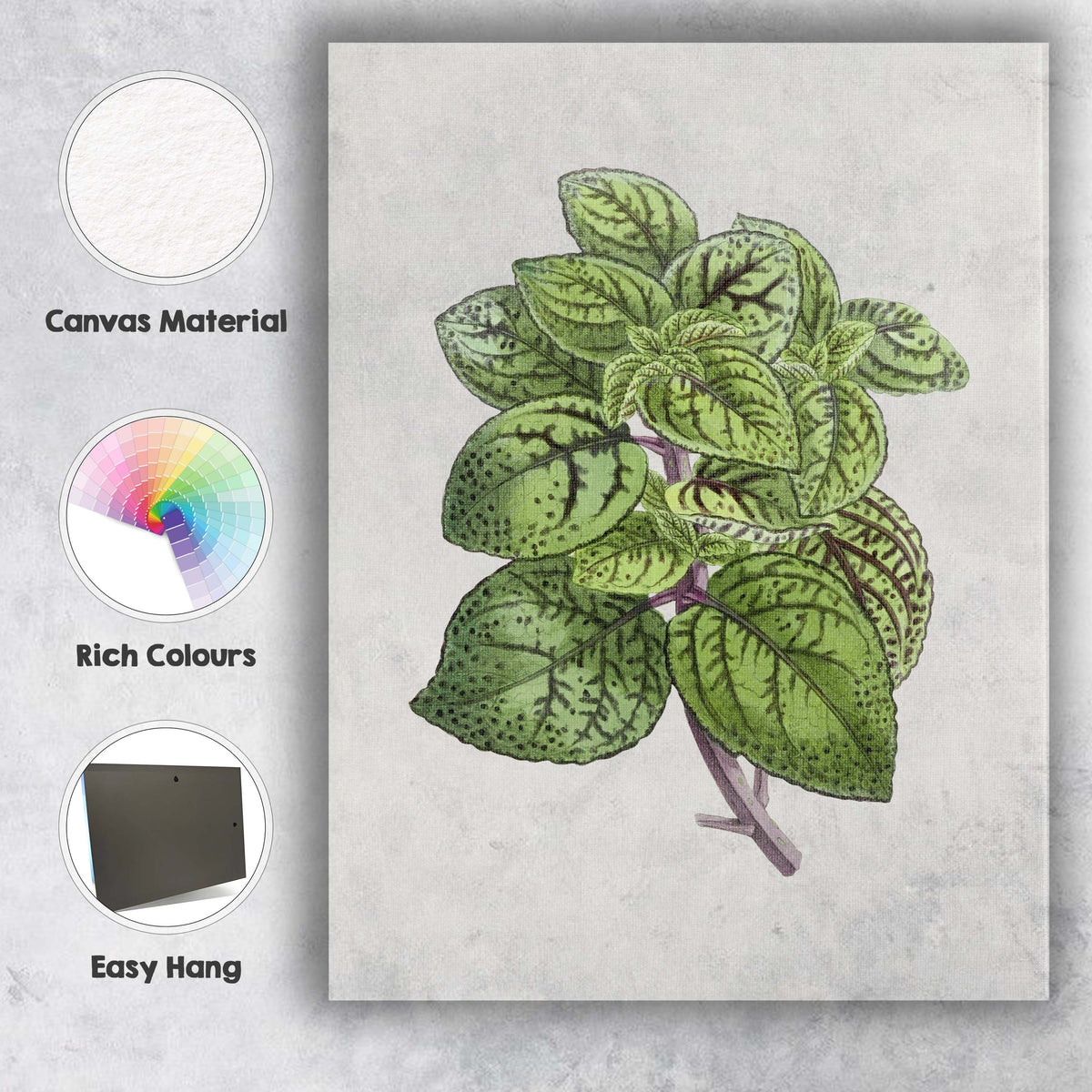 Green Speckled Foliage Plant Botanical Garden Illustration Canvas Wall Art Print Decor Picture Ready to Hang
