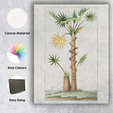 Antique Fan Palm Tree Exotic Tropical Botanical Illustration Canvas Wall Art Print Decor Picture Ready to Hang
