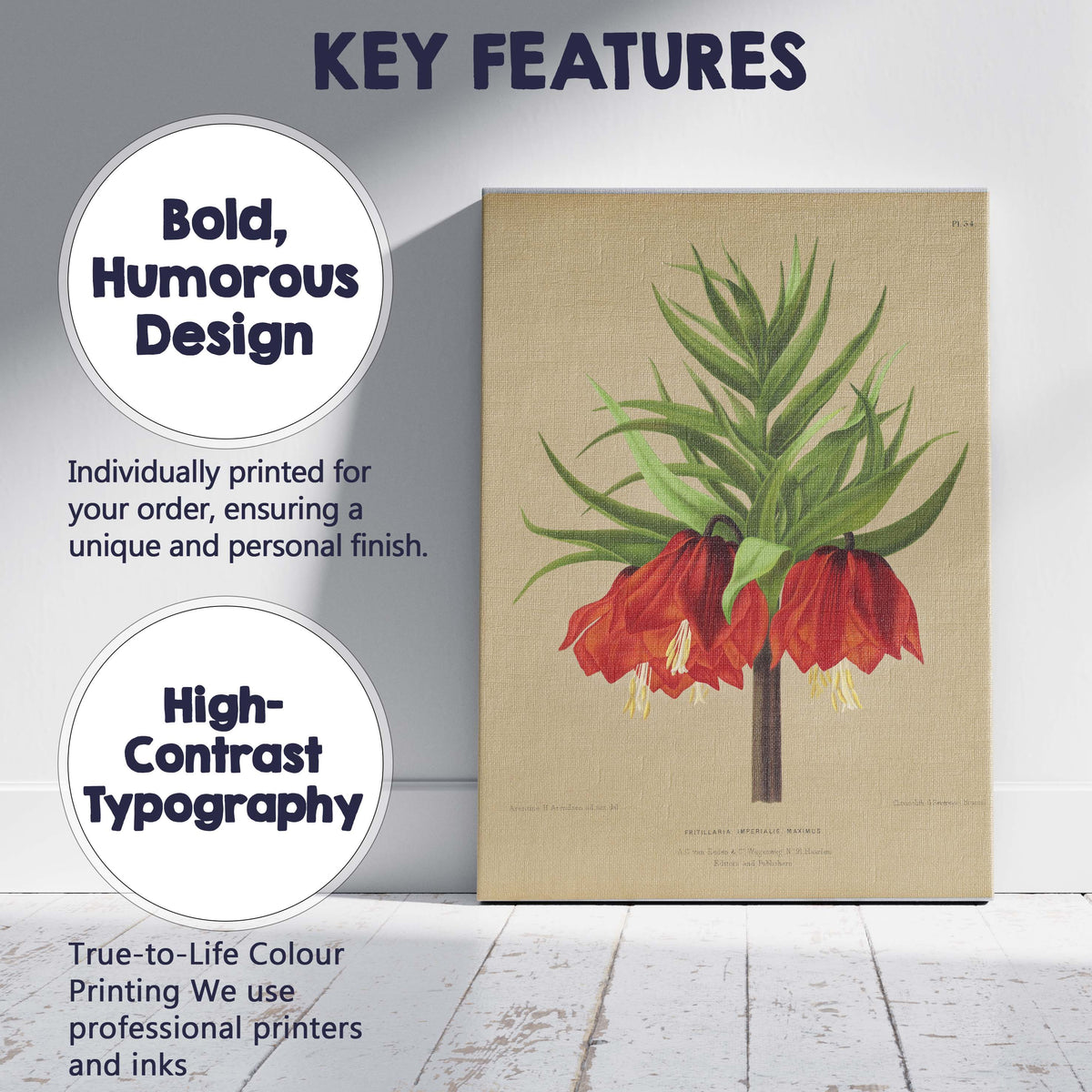 Rich Red Crown Imperial Fritillaria Botanical Flower Illustration Canvas Wall Art Print Decor Picture Ready to Hang