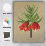 Rich Red Crown Imperial Fritillaria Botanical Flower Illustration Canvas Wall Art Print Decor Picture Ready to Hang