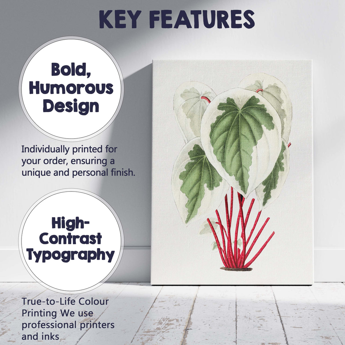 Cream Green Heart Leaf Plant With Red Stems Botanical Illustration Canvas Wall Art Print Decor Picture Ready to Hang