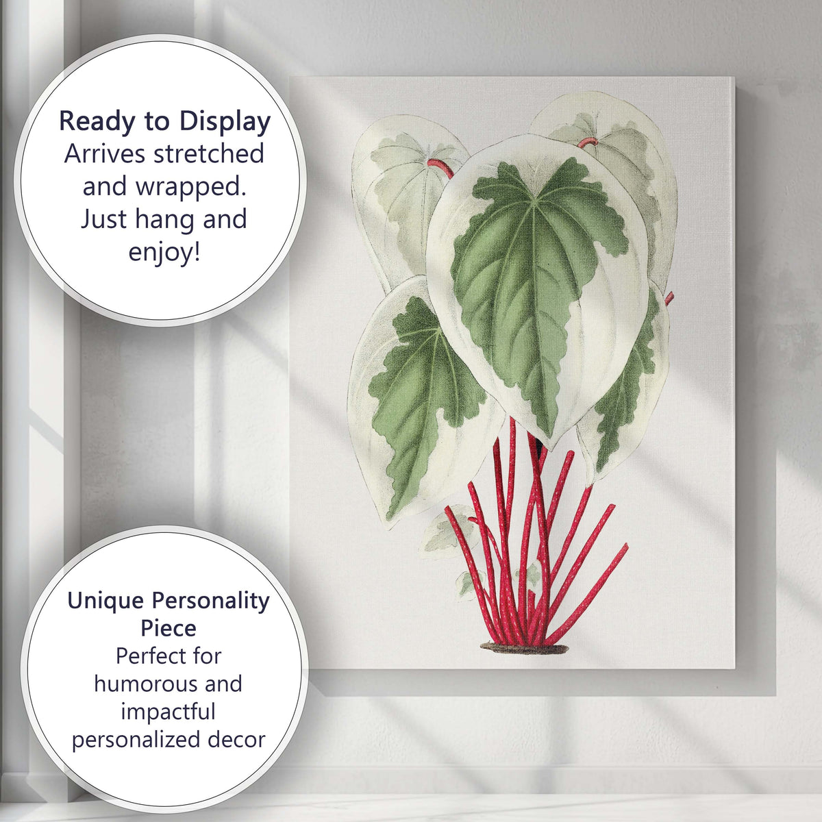 Cream Green Heart Leaf Plant With Red Stems Botanical Illustration Canvas Wall Art Print Decor Picture Ready to Hang