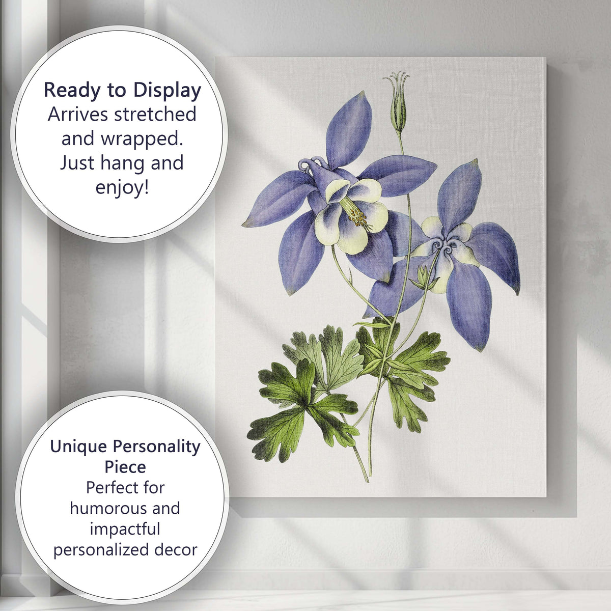 Delicate Blue Columbine Aquilegia Wildflower Botanical Illustration Canvas Wall Art Print Decor Picture Ready to Hang