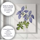 Delicate Blue Columbine Aquilegia Wildflower Botanical Illustration Canvas Wall Art Print Decor Picture Ready to Hang