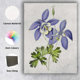 Delicate Blue Columbine Aquilegia Wildflower Botanical Illustration Canvas Wall Art Print Decor Picture Ready to Hang