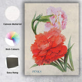 Vibrant Red and Pink Dianthus Pinks Floral Illustration Canvas Wall Art Print Decor Picture Ready to Hang