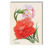 Vibrant Red and Pink Dianthus Pinks Floral Illustration Canvas Wall Art Print Decor Picture Ready to Hang