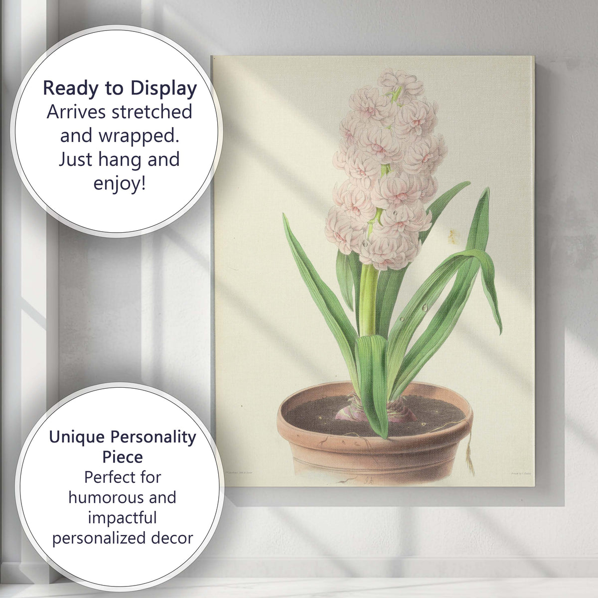Soft Pink Hyacinth in Terracotta Pot Botanical Illustration Canvas Wall Art Print Decor Picture Ready to Hang