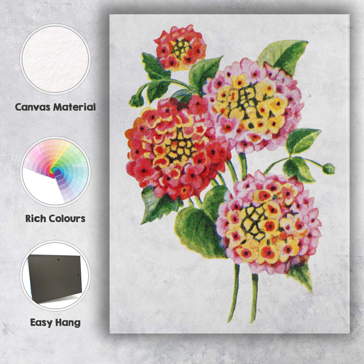 Colourful Lantana Flower Cluster Botanical Illustration Canvas Wall Art Print Decor Picture Ready to Hang
