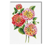 Colourful Lantana Flower Cluster Botanical Illustration Canvas Wall Art Print Decor Picture Ready to Hang