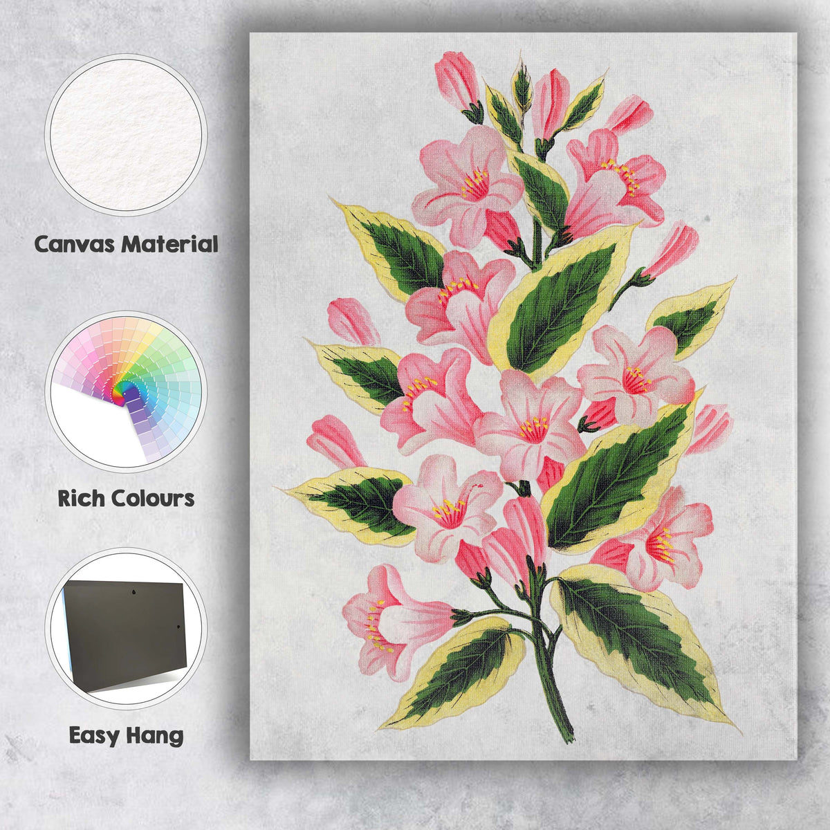 Pink Bell Flower Blossom Variegated Leaf Botanical Illustration Canvas Wall Art Print Decor Picture Ready to Hang