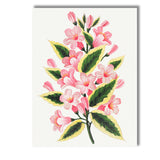 Pink Bell Flower Blossom Variegated Leaf Botanical Illustration Canvas Wall Art Print Decor Picture Ready to Hang