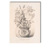 Victorian Rival Roses Potted Botanical Engraving Canvas Wall Art Print Decor Picture Ready to Hang