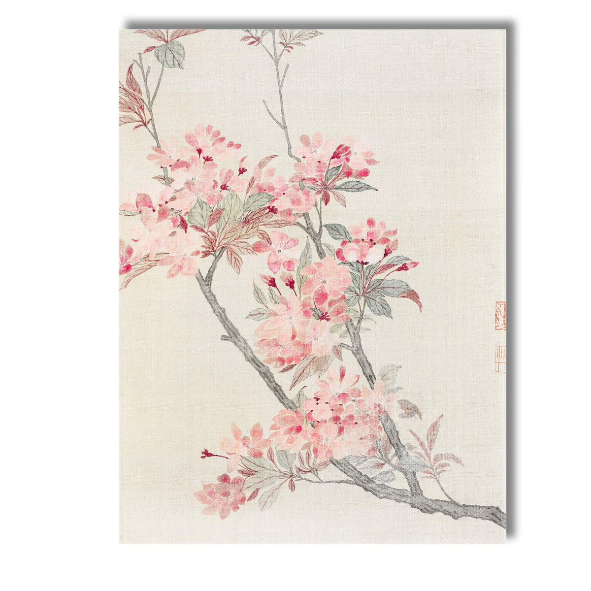 Soft Pink Cherry Blossom Branch Oriental Botanical Canvas Wall Art Print Decor Picture Ready to Hang