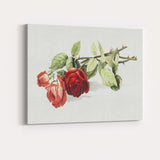 Romantic Red Rose Botanical Watercolour Flower Study Canvas Wall Art Print Decor Picture Ready to Hang