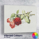 Romantic Red Rose Botanical Watercolour Flower Study Canvas Wall Art Print Decor Picture Ready to Hang