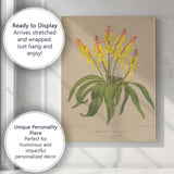 Antique Yellow Bell Flower Botanical Scientific Illustration Canvas Wall Art Print Decor Picture Ready to Hang
