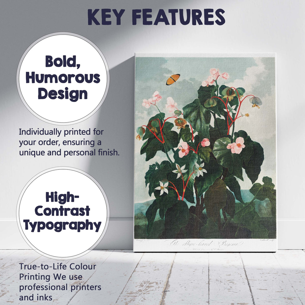 Antique Pink Begonia Botanical Flower Study Canvas Wall Art Print Decor Picture Ready to Hang