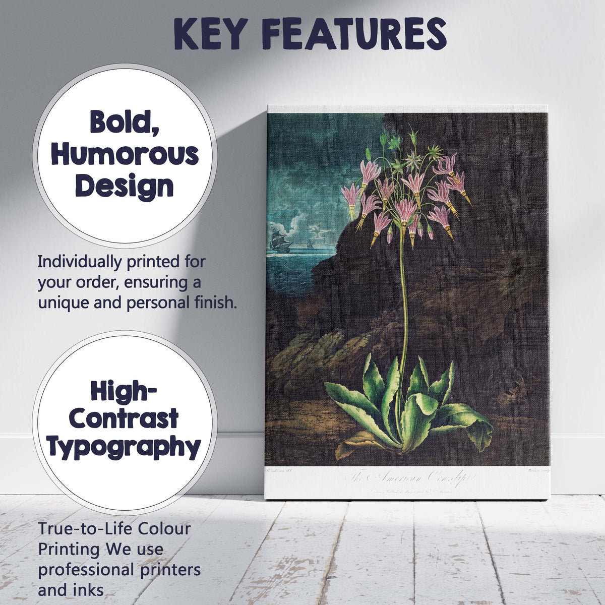 Moody Coastal American Cowslip Botanical Illustration Canvas Wall Art Print Decor Picture Ready to Hang