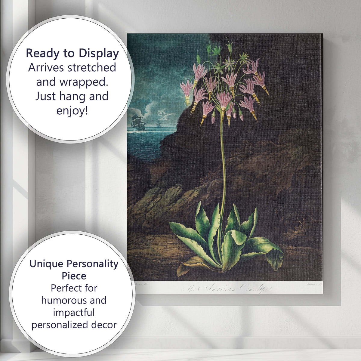Moody Coastal American Cowslip Botanical Illustration Canvas Wall Art Print Decor Picture Ready to Hang