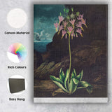 Moody Coastal American Cowslip Botanical Illustration Canvas Wall Art Print Decor Picture Ready to Hang