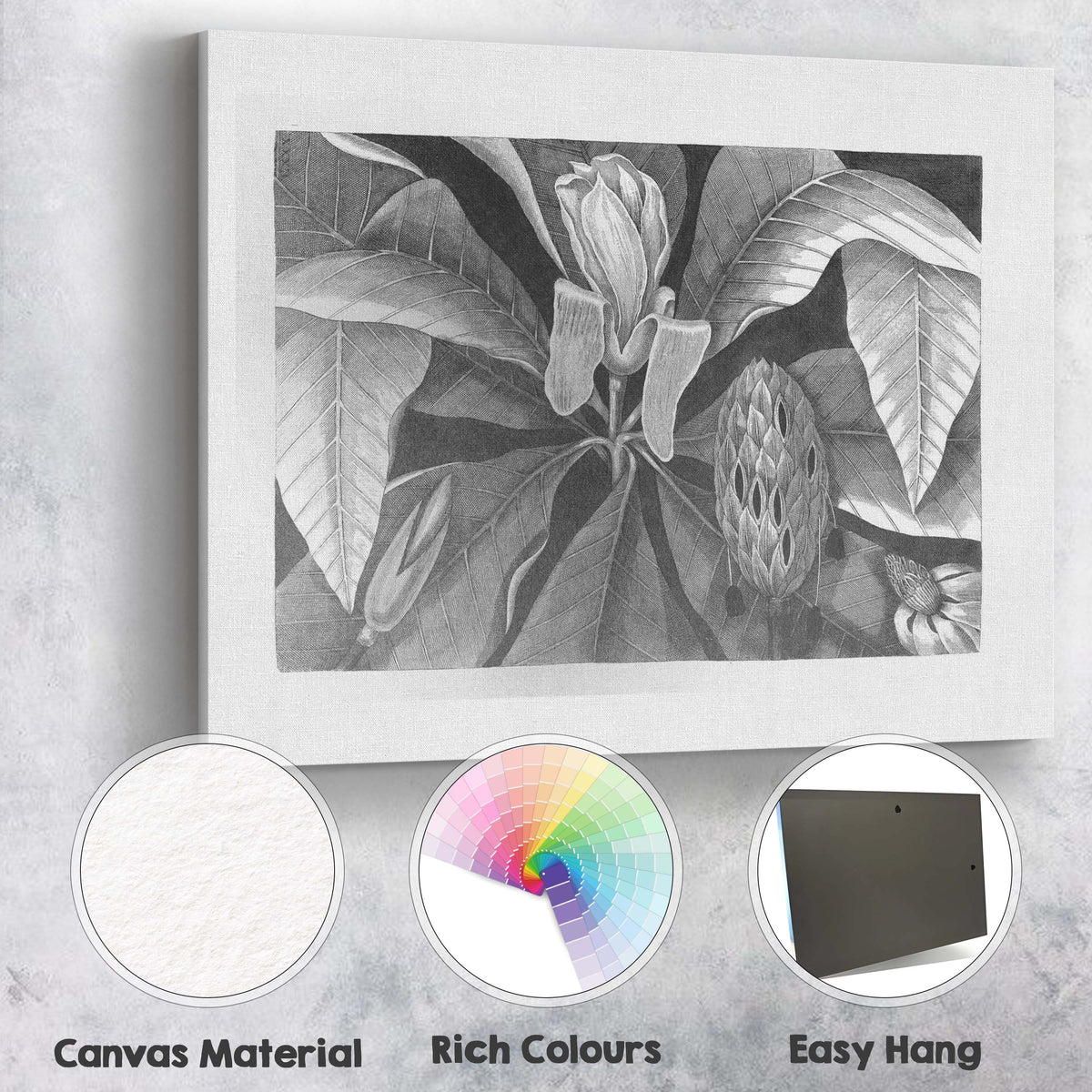 Monochrome Magnolia Flower and Leaf Botanical Engraving Canvas Wall Art Print Decor Picture Ready to Hang