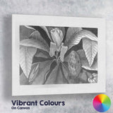 Monochrome Magnolia Flower and Leaf Botanical Engraving Canvas Wall Art Print Decor Picture Ready to Hang
