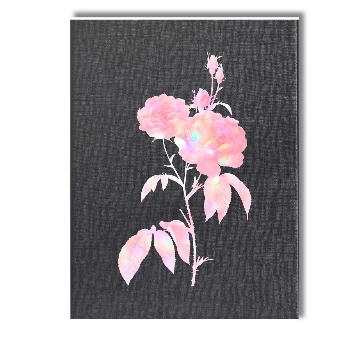 Soft Pink Rose Bloom Iridescent Botanical Illustration Canvas Wall Art Print Decor Picture Ready to Hang
