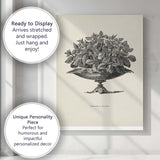 Antique Alternanthera Foliage Plant Botanical Engraving Canvas Wall Art Print Decor Picture Ready to Hang