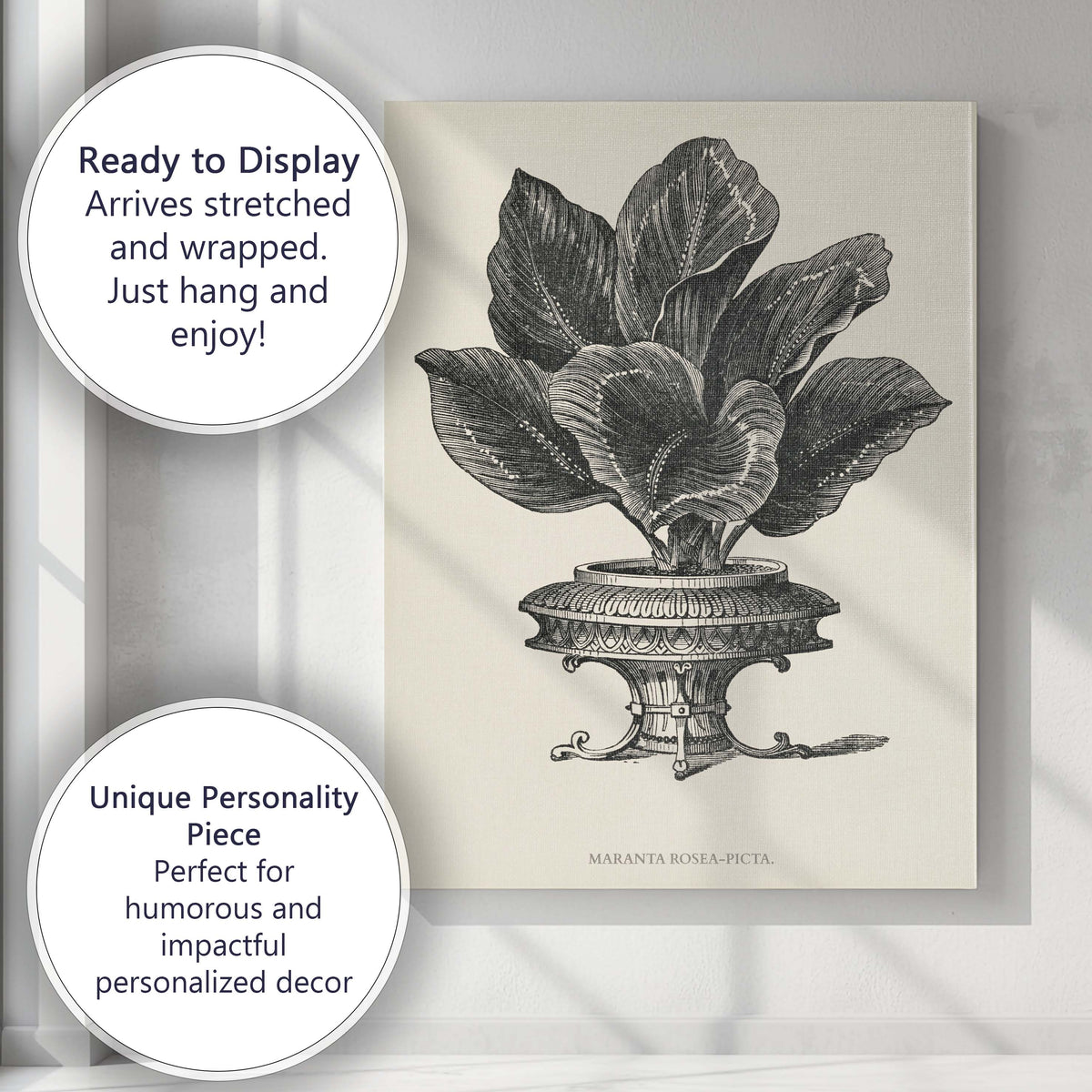 Classic Maranta Illustris Tropical Leaf Botanical Engraving Canvas Wall Art Print Decor Picture Ready to Hang