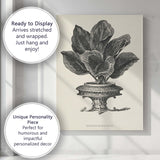 Classic Maranta Illustris Tropical Leaf Botanical Engraving Canvas Wall Art Print Decor Picture Ready to Hang