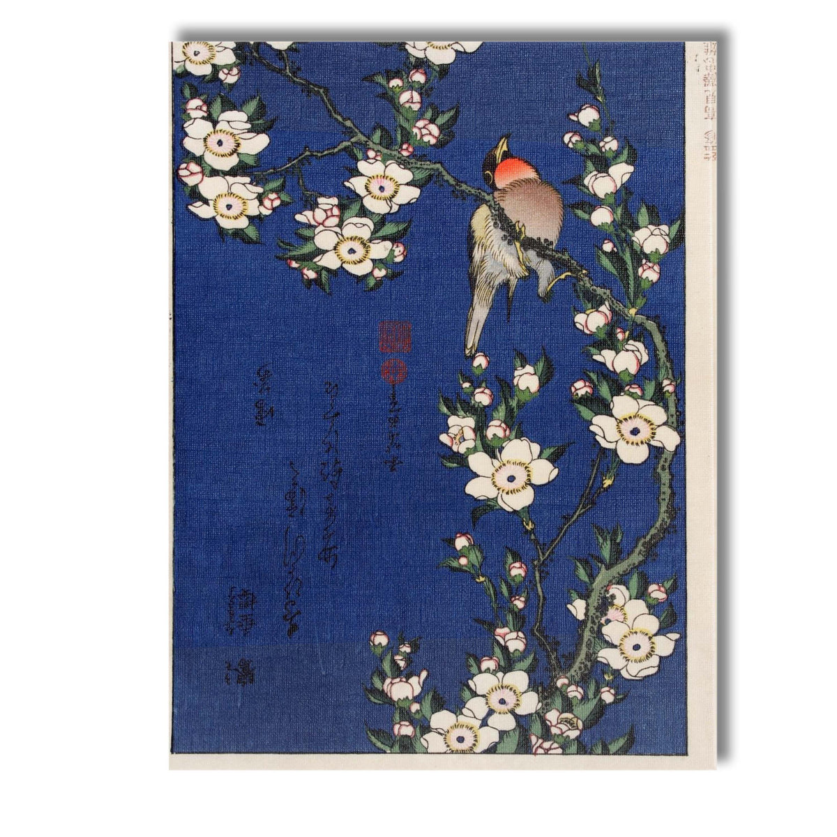 Japanese Songbird White Blossom Branch Woodblock Style Artwork Canvas Wall Art Print Decor Picture Ready to Hang