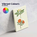 Antique Orange Rose Yellow Flower Botanical Illustration Canvas Wall Art Print Decor Picture Ready to Hang