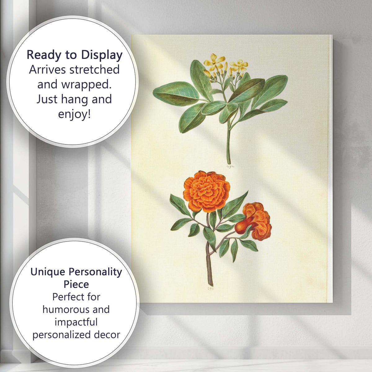 Antique Orange Rose Yellow Flower Botanical Illustration Canvas Wall Art Print Decor Picture Ready to Hang