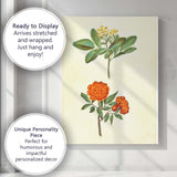 Antique Orange Rose Yellow Flower Botanical Illustration Canvas Wall Art Print Decor Picture Ready to Hang