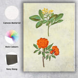 Antique Orange Rose Yellow Flower Botanical Illustration Canvas Wall Art Print Decor Picture Ready to Hang