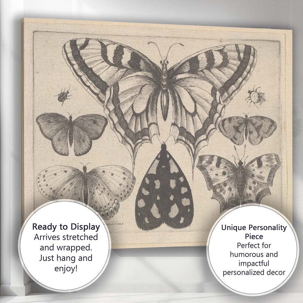 Antique Butterfly Collection Engraving Victorian Entomology Study Canvas Wall Art Print Decor Picture Ready to Hang