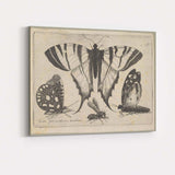 Antique Swallowtail Butterfly Engraving Insect Study Artwork Canvas Wall Art Print Decor Picture Ready to Hang