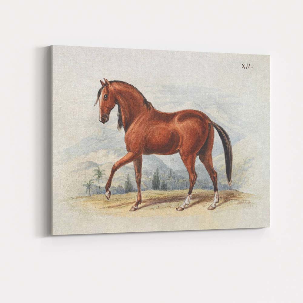 Chestnut Horse Antique Equestrian Watercolour Illustration Canvas Wall Art Print Decor Picture Ready to Hang