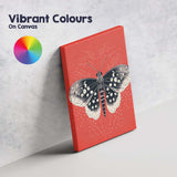Black And White Moth Illustration On Vibrant Red Background Canvas Wall Art Print Decor Picture Ready to Hang