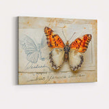Orange And Cream Butterfly Mixed Media Natural History Artwork Canvas Wall Art Print Decor Picture Ready to Hang