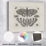 Antique Moth and Butterfly Collection Scientific Entomology Engraving Canvas Wall Art Print Decor Picture Ready to Hang