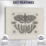 Antique Moth and Butterfly Collection Scientific Entomology Engraving Canvas Wall Art Print Decor Picture Ready to Hang