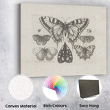 Antique Butterfly Specimen Collection Detailed Entomology Engraving Canvas Wall Art Print Decor Picture Ready to Hang