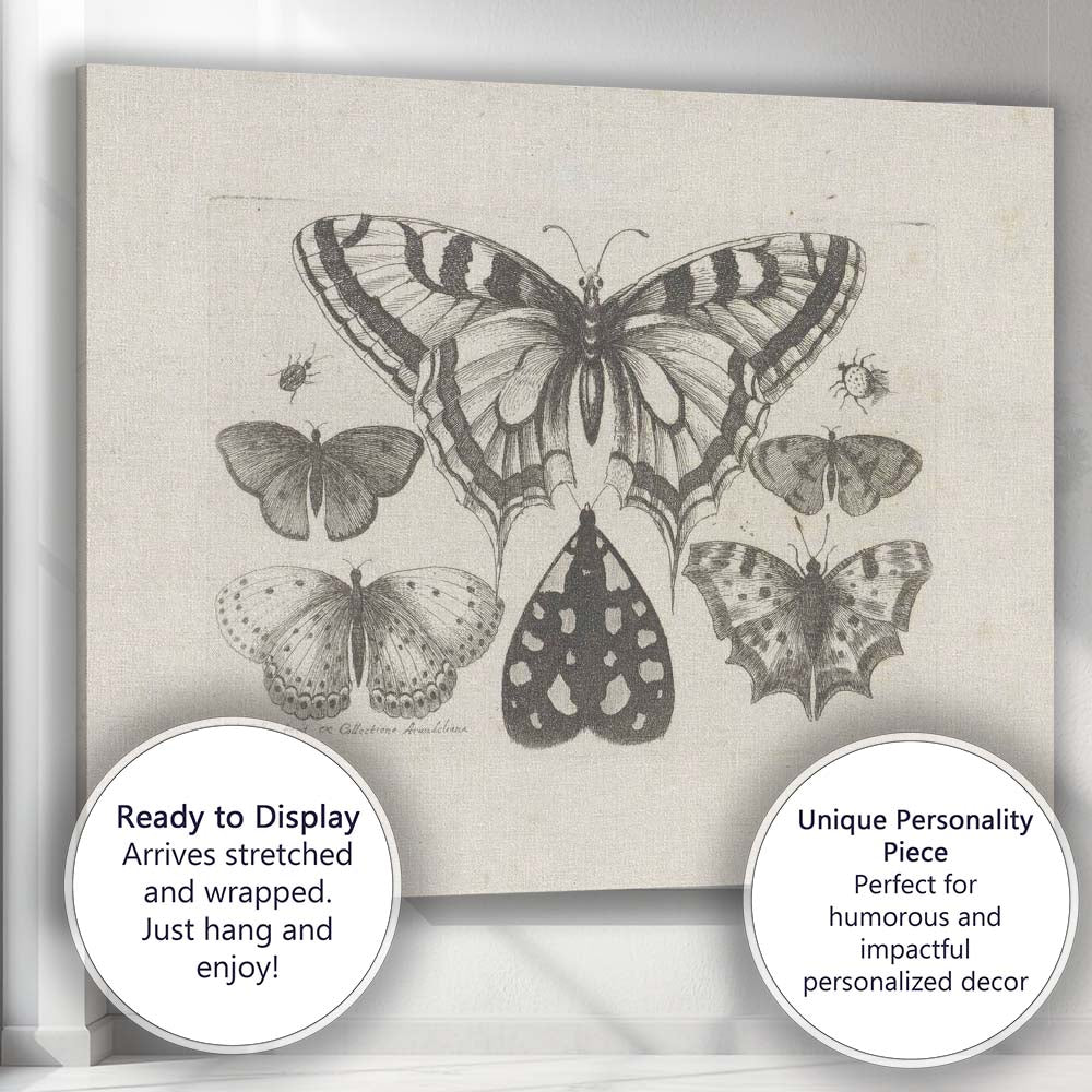 Antique Butterfly Specimen Collection Detailed Entomology Engraving Canvas Wall Art Print Decor Picture Ready to Hang