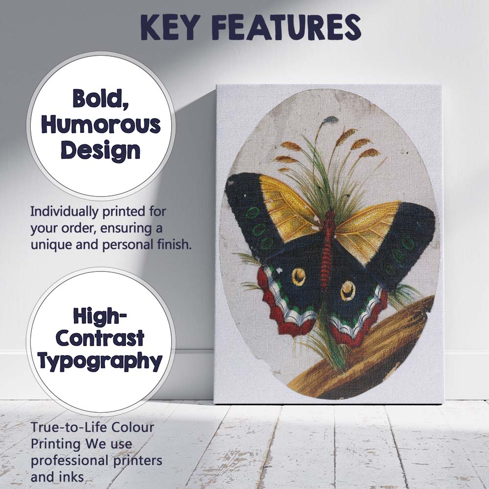 Colourful Peacock Butterfly Botanical Nature Study Antique Illustration Canvas Wall Art Print Decor Picture Ready to Hang