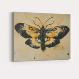 Black and Ochre Butterfly Graphic Ink Illustration Canvas Wall Art Print Decor Picture Ready to Hang