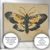 Black and Ochre Butterfly Graphic Ink Illustration Canvas Wall Art Print Decor Picture Ready to Hang