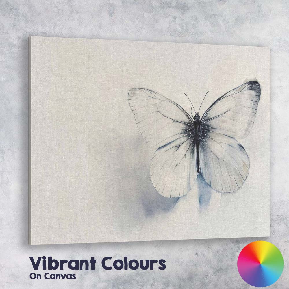 Monochrome White Butterfly Minimalist Watercolour Canvas Wall Art Print Decor Picture Ready to Hang